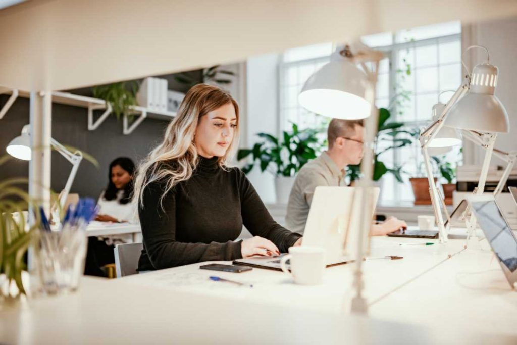 Qué Es Un Setter Digital y Para Qué Sirve